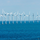 Foto: Tony Moran / Shutterstock
